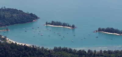 The day near green trees bird 's-eye view of the water body
